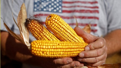 Etanol/EUA: Indústria quer reduzir emissões; agricultores estão relutantes