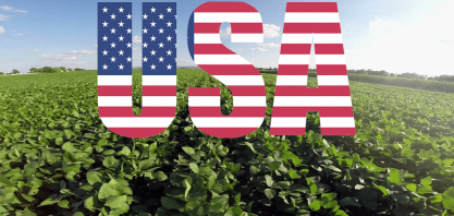 EUA devem colher maior safra de soja de sua história, diz USDA