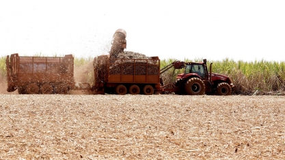 Centro-Sul registra queda de 8% na moagem de cana na safra 22/23
