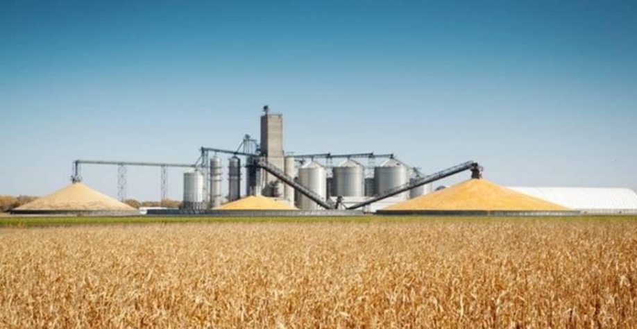 Grandes estimativas de safra de soja para 2023 podem não ser excessivas