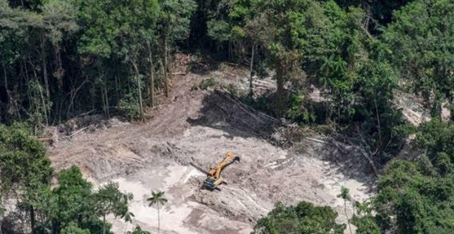 Legenda: Desmatamento na Terra Indígena Sai Cinza (PA) - 24.jun.2020 - Marcos Amend/Greenpeace
