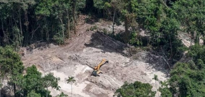 Veja causas e consequências de queimadas e desmate na Amazônia