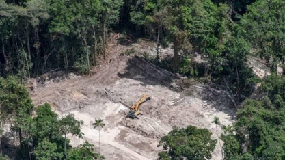 Veja causas e consequências de queimadas e desmate na Amazônia