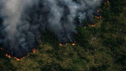 Incêndios na Amazônia brasileira aumentaram em julho