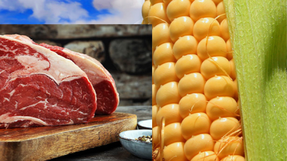 Embarques de milho e carne bovina do Brasil têm recordes em agosto