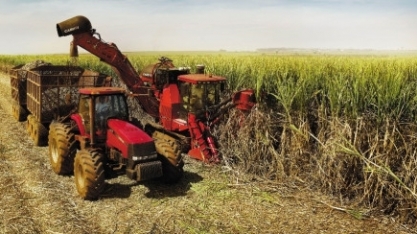 Etanol: Venda na 2ª quinzena de agosto avança 7,51%, para 2,69 bi de litros