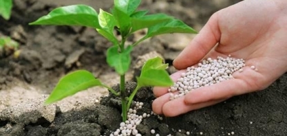 Por que o fertilizante nitrogenado não pode ser demonizado