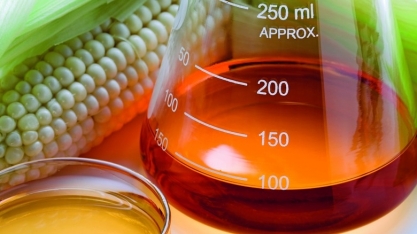 Mais usinas produtoras de etanol de milho para o Brasil