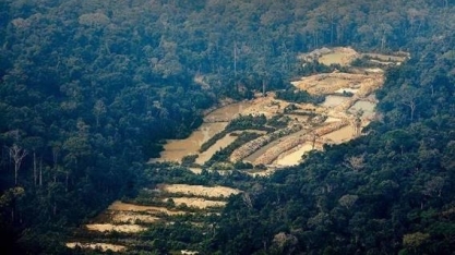 Mineração ilegal de ouro no Brasil cresceu 44% em 2021, diz estudo