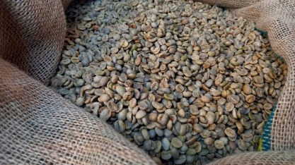 Café: CNC diz que promove ações contra possível sanção da UE