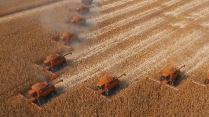 Produção de grãos é recorde, mas inflação dos alimentos continua