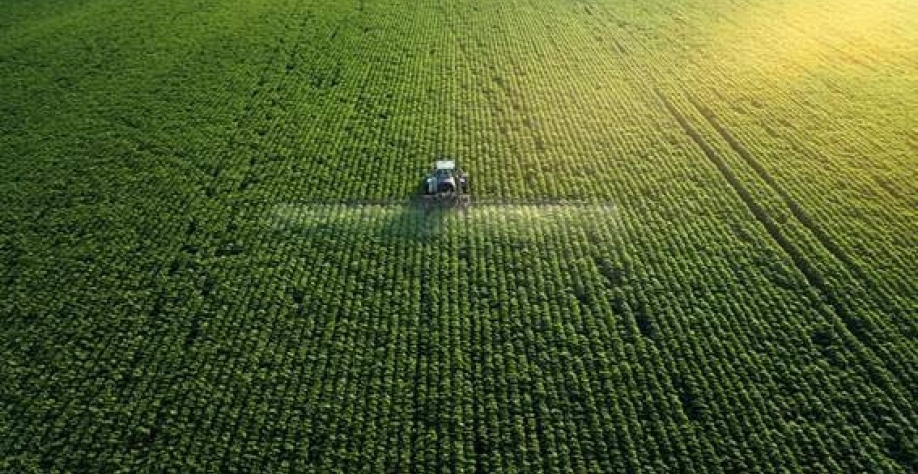 Em ano atípico, balança do agronegócio bate todos os recordes
