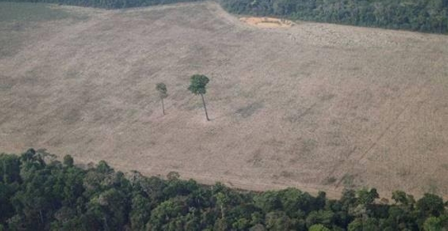Legenda: Trecho desmatado da Amazônia perto de Porto Velho, em Rondônia - Ueslei Marcelino - 14.ago.2020/Reuters