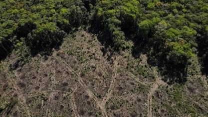 Brasil é um dos principais culpados por desmatamento ligado à mineração