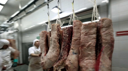 Abate de bovinos sobe 35% no 2º tri/2022 ante o 2º tri/2021