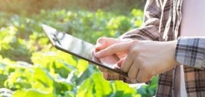 A agricultura brasileira entra na fase da edição gênica, de menor custo