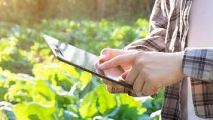 A agricultura brasileira entra na fase da edição gênica, de menor custo