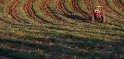 Fertilizantes/EUA: Custos seguem próximos de níveis recordes