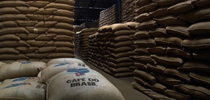 Safras reduz previsão de colheita de café para 58,2 milhões de sacas
