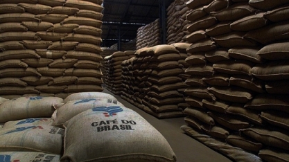 Safras reduz previsão de colheita de café para 58,2 milhões de sacas