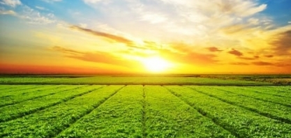 Agro brasileiro produz mais uma safra recorde de grãos, diz Conab
