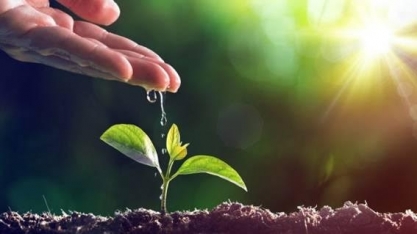 Agro pode seguir como motor do progresso e da preservação