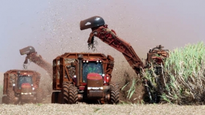 Cana: Moagem acumulada no Centro-Sul cai 7,07% ante safra anterior