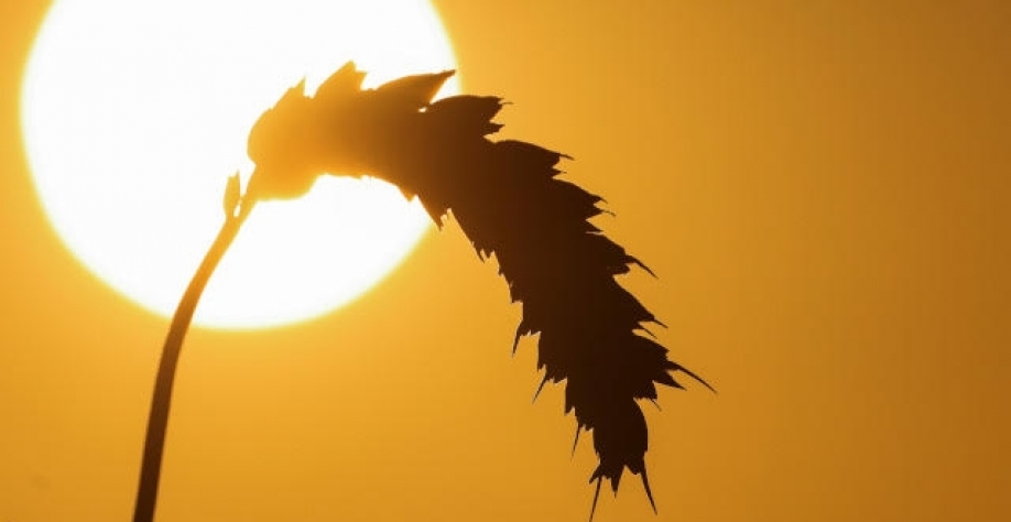 La Niña durará três invernos consecutivos pela primeira vez no século 