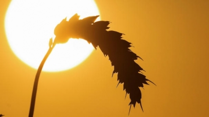 La Niña durará três invernos consecutivos pela primeira vez no século 