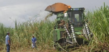 Norte do Brasil deve moer 57 mi de t em 2022/23 ante 54 mi de t em 2021/22