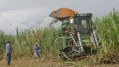 Norte do Brasil deve moer 57 mi de t em 2022/23 ante 54 mi de t em 2021/22
