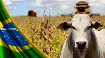 VBP deve ser de R$ 1,18 trilhão este ano, ante R$ 1,19 tri em 2021