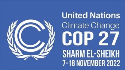 Defensores de dietas com menos carnes se aprontam para a COP27