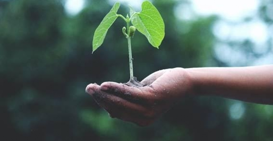 Como 2 identificadores podem revelar o valor dos dados ESG mais rápido