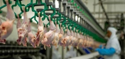 Gigante do agronegócio brasileiro fecha parceria com empresa saudita