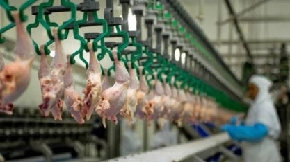 Gigante do agronegócio brasileiro fecha parceria com empresa saudita