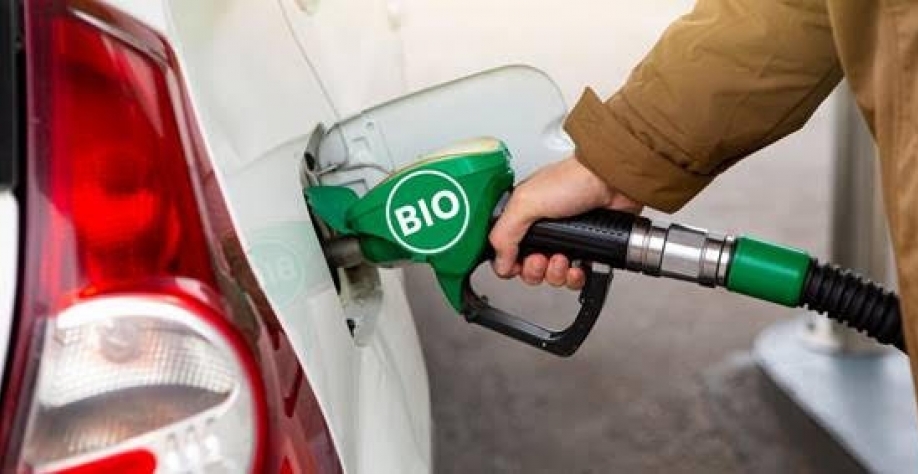 Produtores de biocombustíveis cobram medidas para atrair investimentos