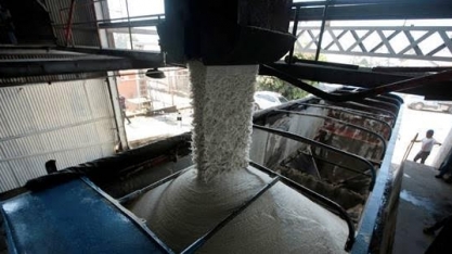 Entrega de açúcar bruto na ICE para outubro fica em torno de 14.650 lotes