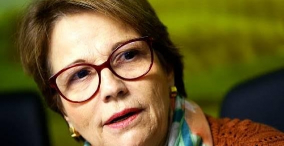 Tereza Cristina, do PP, é eleita senadora por Mato Grosso do Sul  Foto Marcelo Camargo Agência Brasil