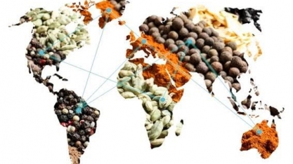 Brasil, o colosso que alimenta todos – Por Artur Piva
