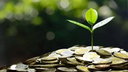 Por que, como e quando vamos avançar na retomada verde no Brasil?