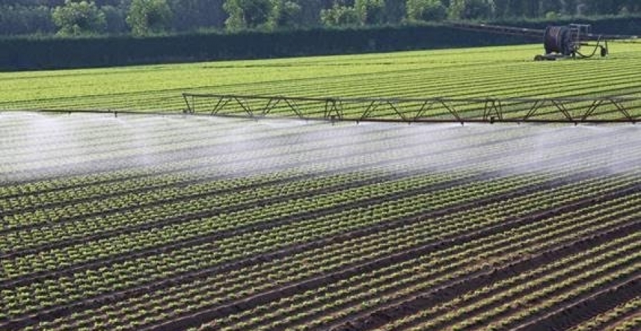 O que é a revolução do mercado verde? - Por Amy DeMartine