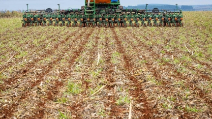 Com chuvas, Brasil tem início de plantio de soja acelerado