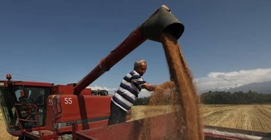 Legenda: A China comprou seis navios de soja para embarque em novembro, sendo metade do Brasil e a outra metade dos EUA (Imagem: REUTERS/Pavel Mikheyev)