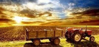 Agricultura e natureza 