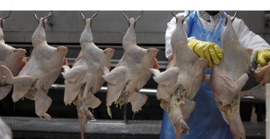 Receita de exportações de frango cresce 13,6% em setembro 