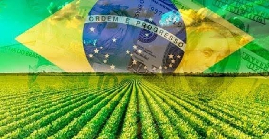 Agropecuária Iracema