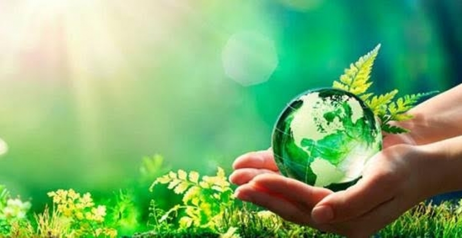 Mercado global de carbono: 5 itens que você precisa saber