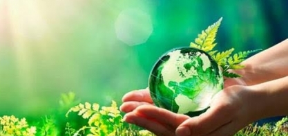 Mercado global de carbono: 5 itens que você precisa saber