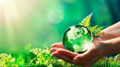 Mercado global de carbono: 5 itens que você precisa saber
